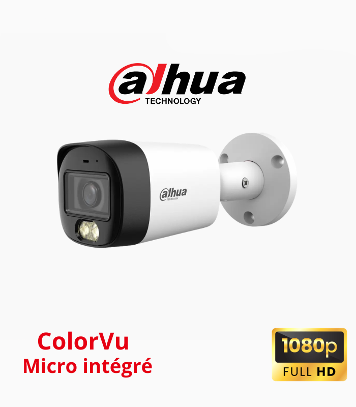 DAHUA 2mp étanche AUDIO couleur
